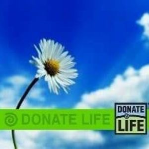 Meet your Posher, Ruby